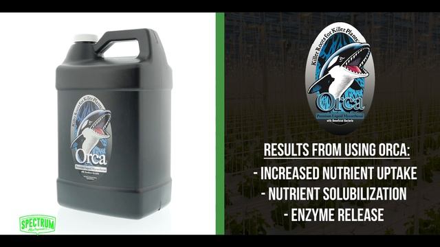 Great White, Orca, & Myco Chum | Spectrum Hydroponics