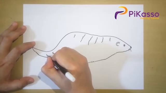 Mongoose Easy Drawing Tutorial