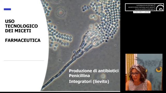 Muffe e alimenti: AMICI o NEMICI? смотреть онлайн