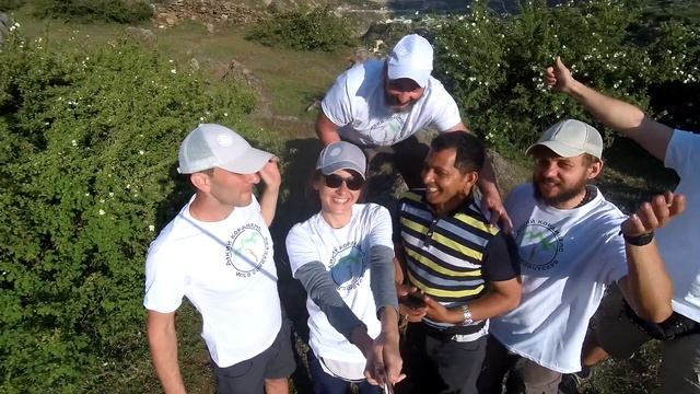 Экспедиция за Кордицепсом смотреть онлайн