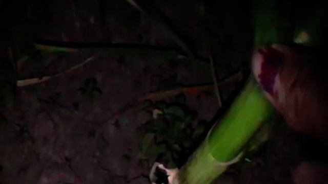 Чеснок в спичечный коробок! смотреть онлайн