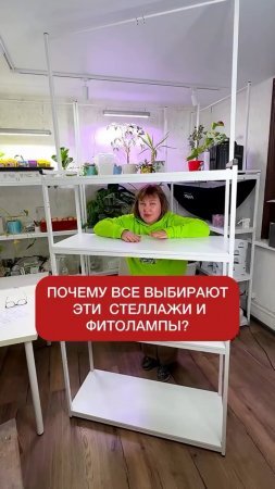 Зимний огород, который работает.