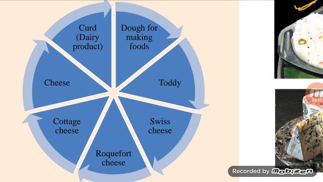 Microbes in Human welfare (L1) смотреть онлайн