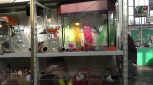 Птичка г Липецка. Аквариумный рынок г. Липецка.