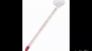 Сколько стоит завести красноухою черепаху? 🤔