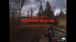 Сталкер Чистое небо Винтарь-ВС на начальное локации (болота)