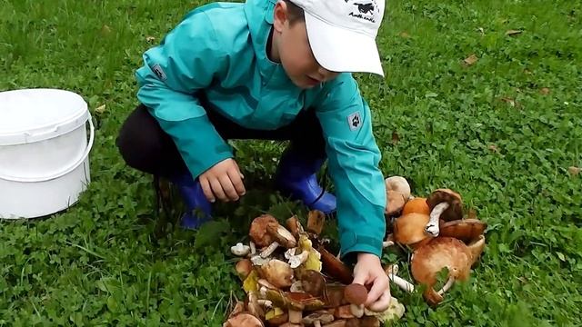 Грибной сезон 14 сентября 2018 смотреть онлайн