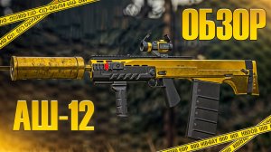 ЛУЧШИЙ ОБЗОР НА АШ-12 | АШ-12 МЕТА? | STALCRAFT X