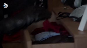 Poyraz, Selin'in İç Çamaşırlarını Karıştırıyor | Arka Sokaklar 617. Bölüm @arkasokaklaryeni