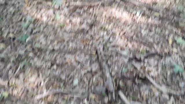 Трюфели без край Част 1  Truffles Without End 1