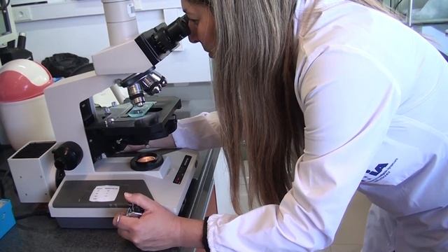 Jornada INIA-CIMMYT de Plataforma de Fenotipado - Vanesa Domeniguini смотреть онлайн