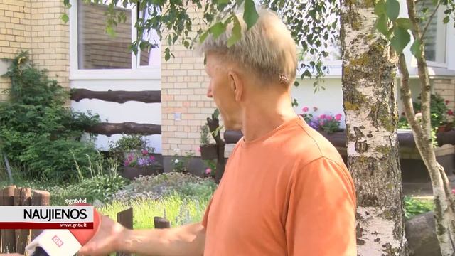 Grybai daugiabučio kieme! смотреть онлайн