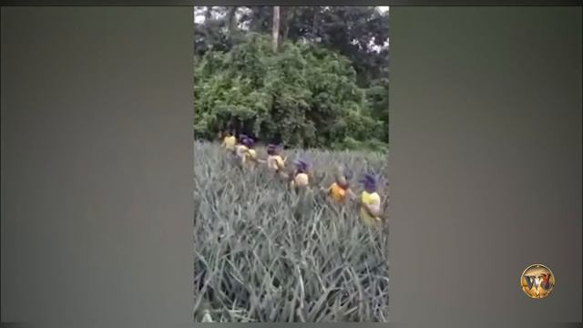 Самые быстрые работники