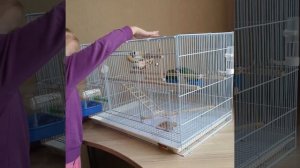 клетка для попугаев неразлучников