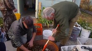 Mushroom Cultivation and Soil Building with Larry Evans