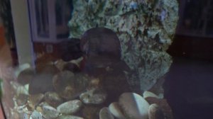 Мой поход в Ярославский зоопарк!