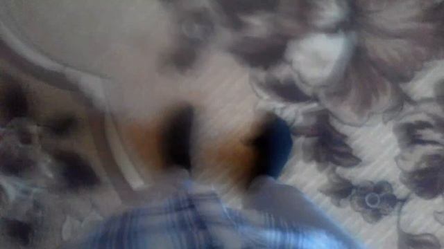 Грибы-КОПЫ:(Пародия) смотреть онлайн