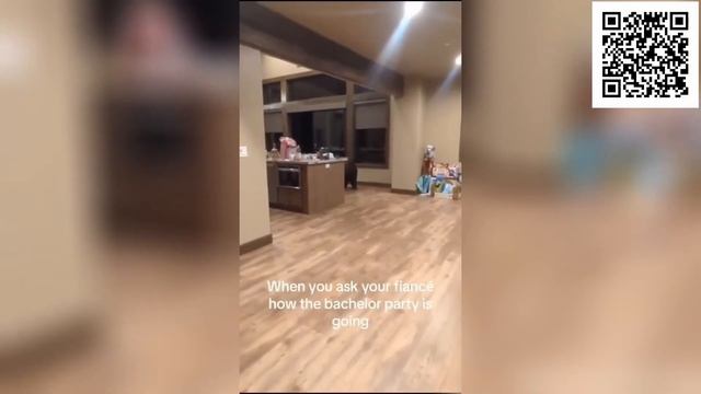 Смешные коты до слёз без озвучки! Лучшие смешные видео с животными! Смешно до слез