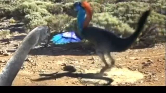 Gigantoraptor