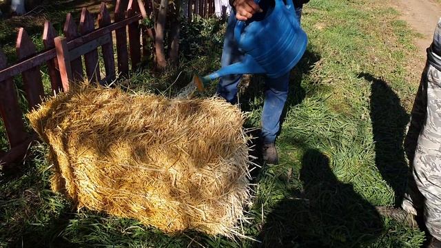 Испытание деструктора пажневых остатков - Orgamica F смотреть онлайн