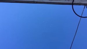 Полёт Пермских голубей