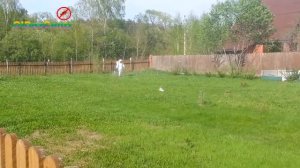 Обработка от клещей в Казани. Олдезцентр