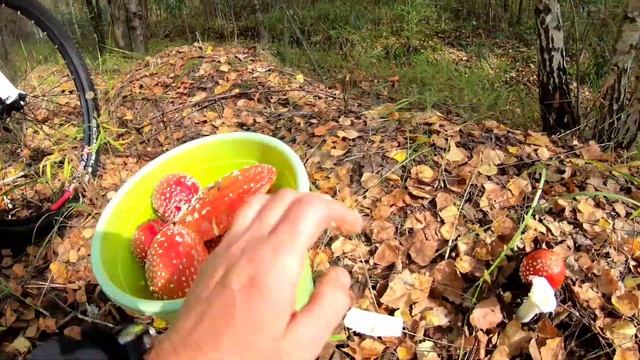 Мухоморы смотреть онлайн