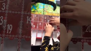 Распаковка адвент календаря «Мир животных».