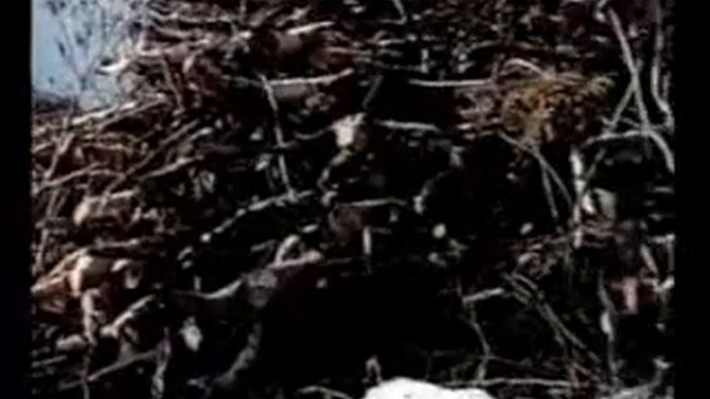 Дорожное покрытие «Елочка» смотреть онлайн