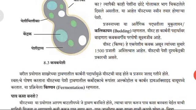 science and tech 9 वि विज्ञान । IMP for MPSC TET TAIT exam смотреть онлайн