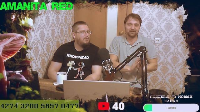 038 Как Жрёт Плазмоид смотреть онлайн