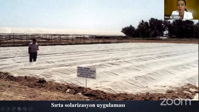 Bitki Doktorları 64 - Toprak Kökenli Fungal Hastalıklar ve Solarizasyon смотреть онлайн