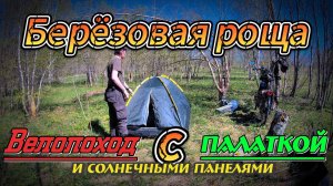 Березовая роща. Велопоход с палаткой и солнечными панелями