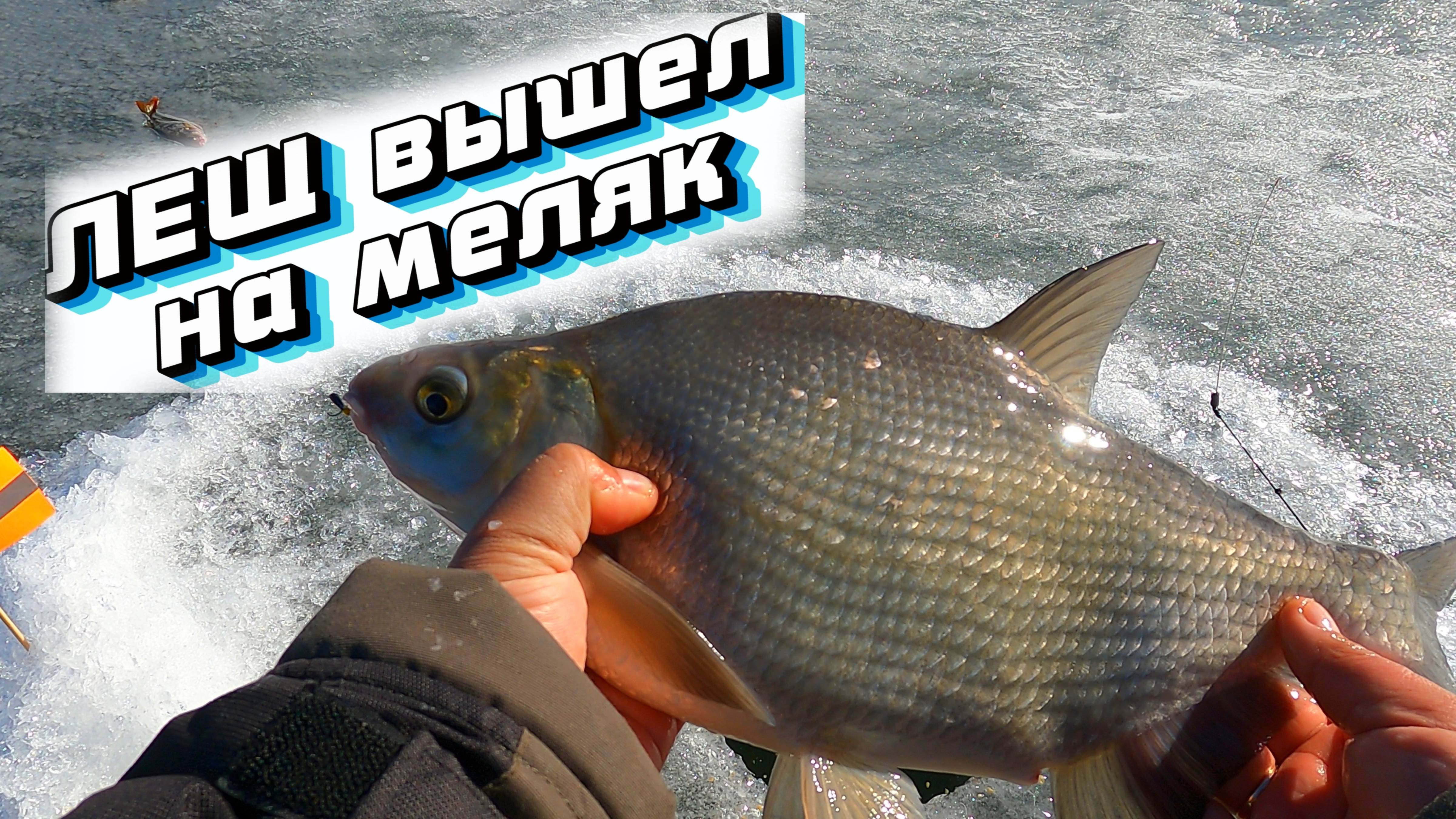 ЛЕЩИ ЗАШЛИ ПОД ЛЁД !!! Ловля чёртиком крупняка на короткой леске !!!