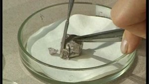 Сравнение свойств спиртов в гомологическом ряду