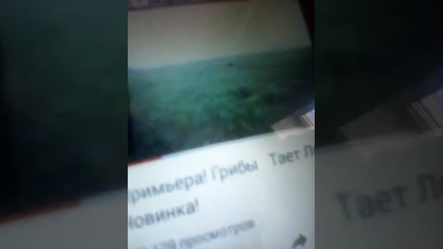 Короче говоря послушать песни грибы тает лёд смотреть онлайн