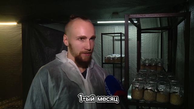 Как #мухоморы вошли в мою жизнь? Интервью на ТВ. Как побороть стресс, плохие привычки и другие хвор смотреть онлайн