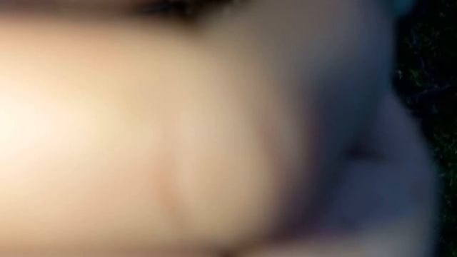 белые грибы смотреть онлайн