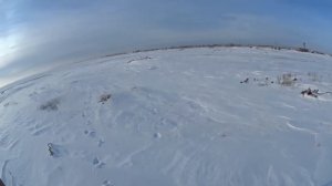 Охота на зайца 18 01 24