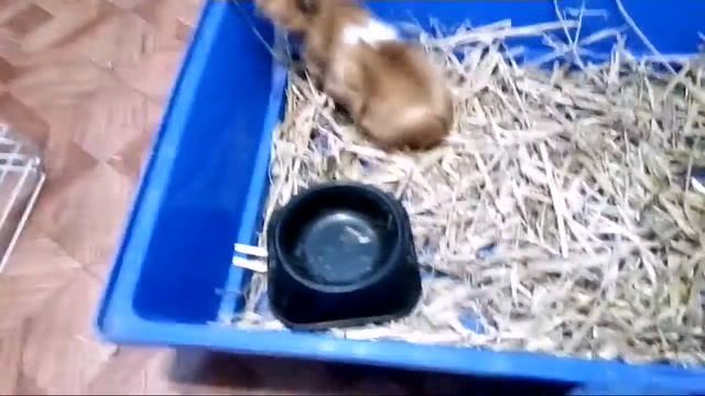 Вова передаёт приветы!!!!! смотреть онлайн