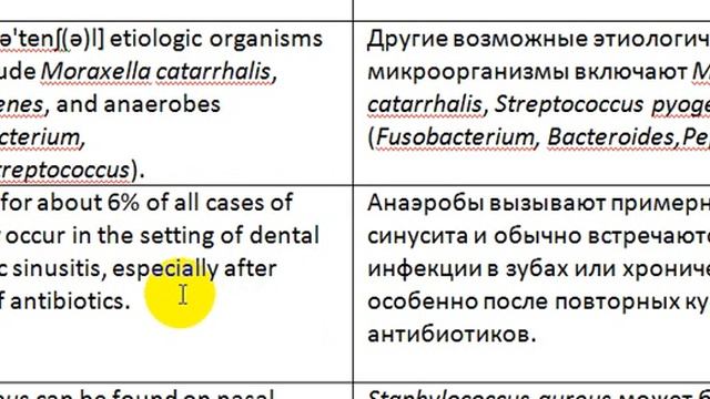 Медицинский английский Goroll Primary Care Medicine Синусит Часть 4-0 смотреть онлайн