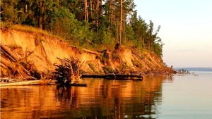 Море Судака в Затопленном Лесу. Подводная охота в Башкирии.