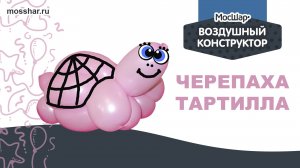 Черепаха Тортилла - пошаговый гайд. Как сделать игрушку из ШДМ (шаров для моделирования)