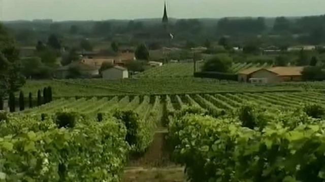 Плесень 2008 смотреть онлайн