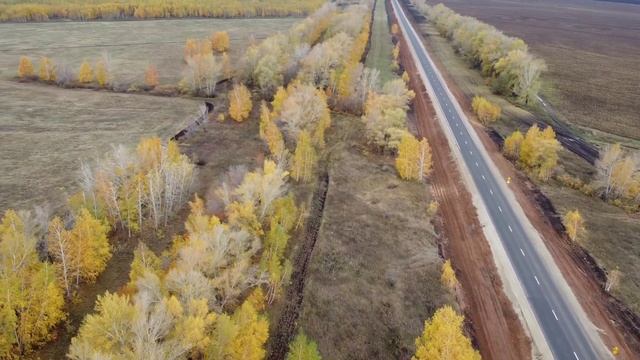 Осень,пора сбора грибов смотреть онлайн