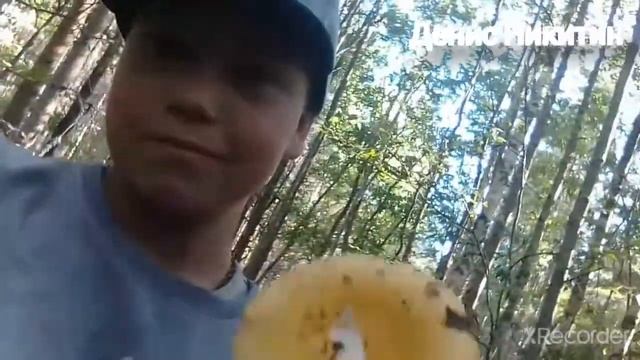 (ВЛОГ) Съездили за грибами в лес смотреть онлайн