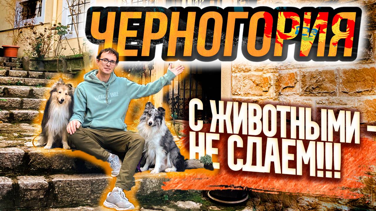 Зима в Черногории 2025! Мы нашли идеальную КВАРТИРУ / Впечатления / Влог
