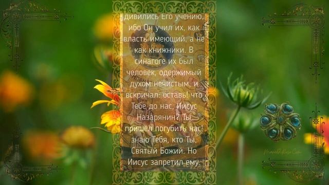 Святое Евангелие. От Марка. Глава 1.Начало Евангелия Иисуса Христа, Сына Божия..