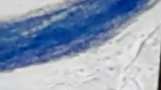 Dermatofitos 3 смотреть онлайн