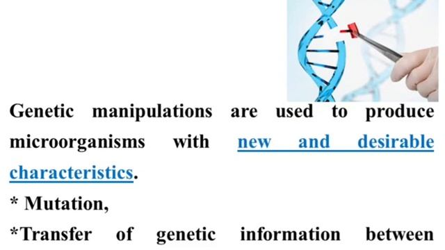 Introduction & Industrial Microbiology | BioTechnology 🧬🧑🔬 | المحاضرة الأولى - بايوتكنولوجي